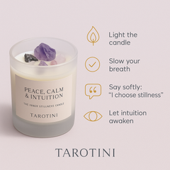 Protection & Cleansing — The Aura Defense Candle