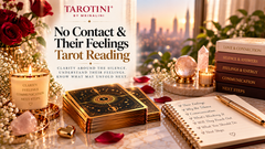 No Contact & Their Feelings Tarot Reading by TAROTINI - understanding their emotions during silence