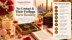 Online tarot reading exploring no contact and their true feelings with TAROTINI